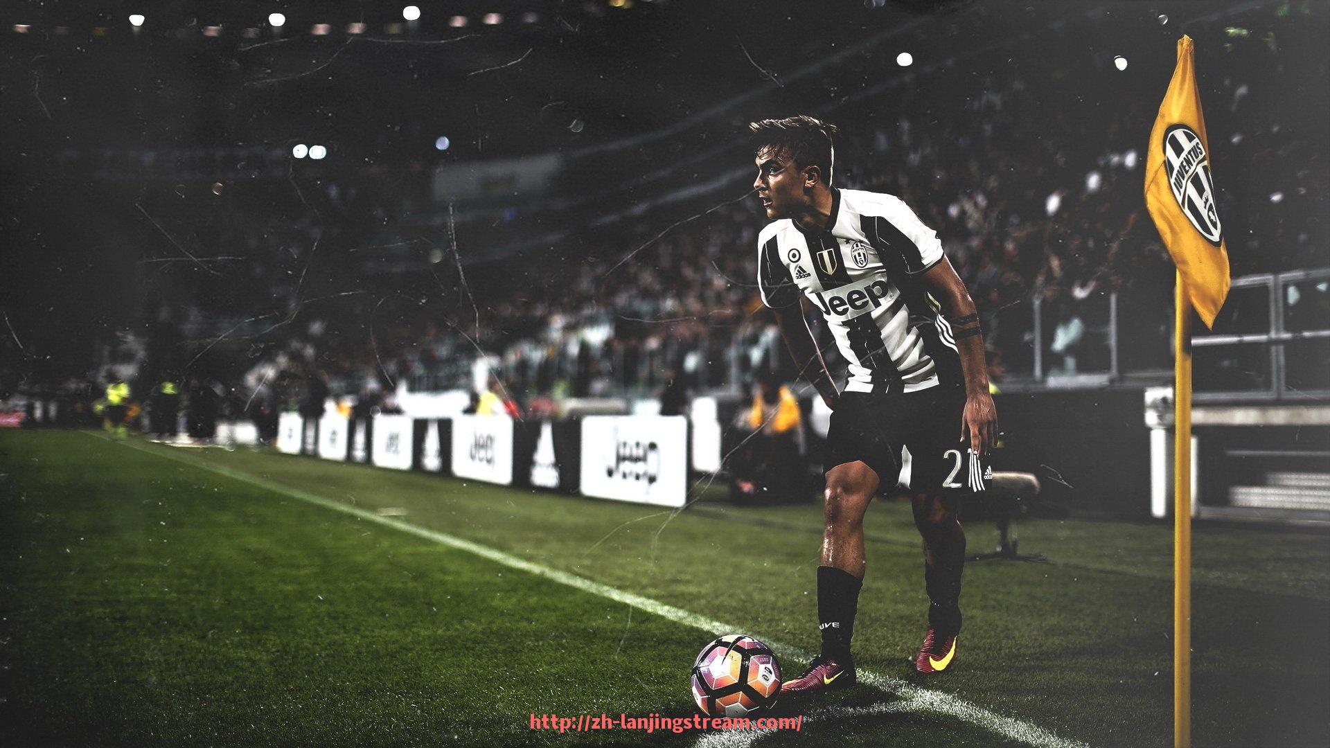 蓝鲸体育直播-台湾BodyGreen健身器材品牌故事与产品阵容